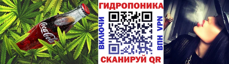 Canna-Cookies конопля  Анжеро-Судженск 