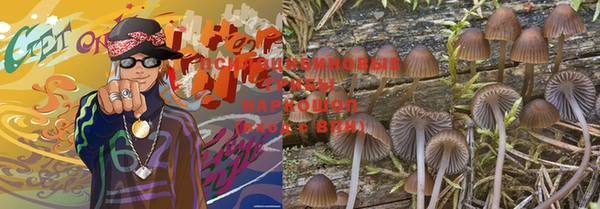 прущий лед Белоозёрский