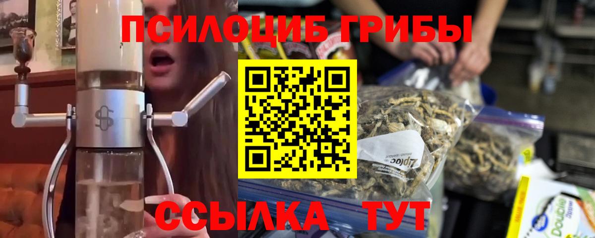 Галлюциногенные грибы Psilocybine cubensis  как найти закладки  Анжеро-Судженск  Вход с VPN 